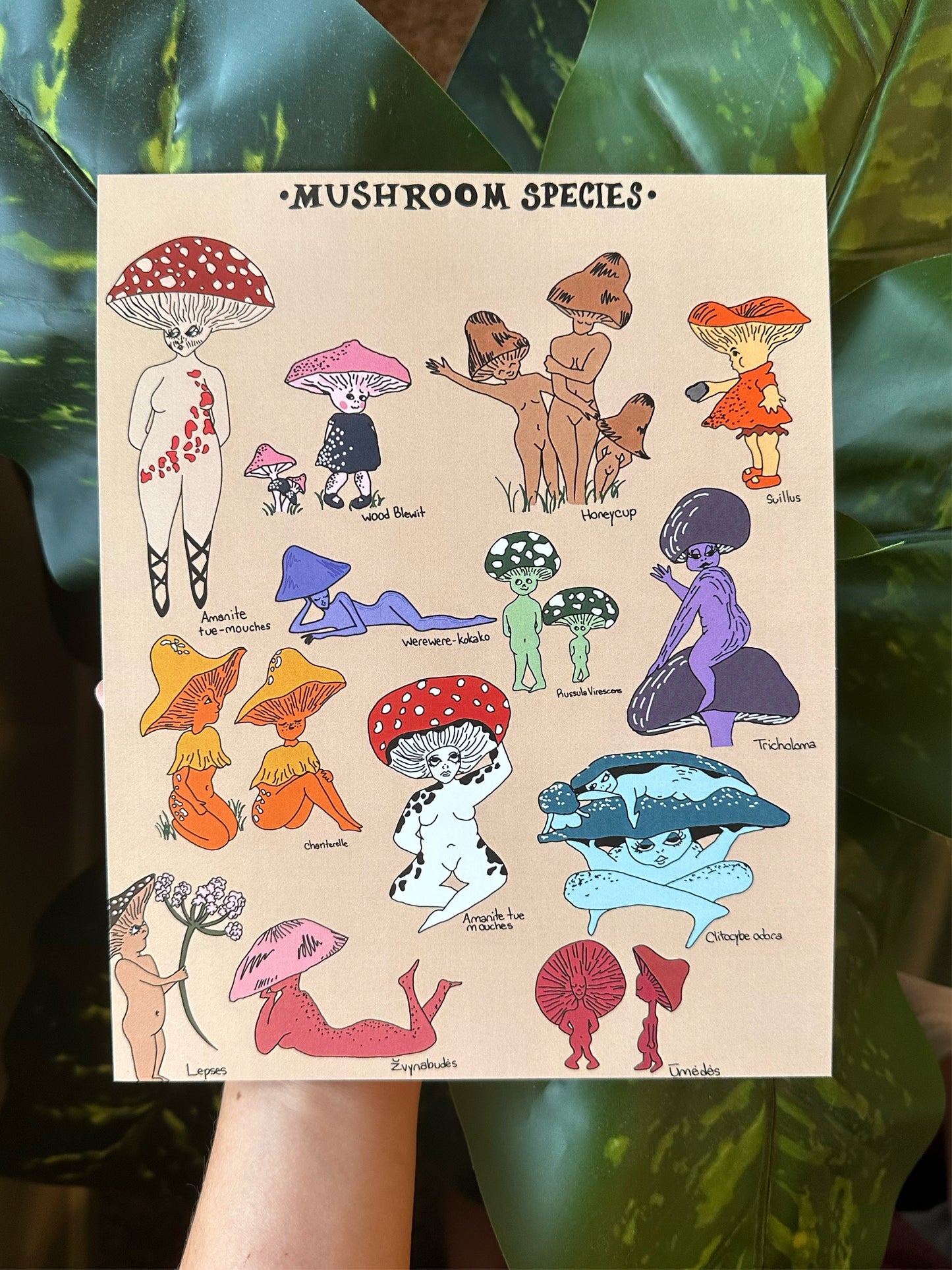 Mushroom Girls - prints
